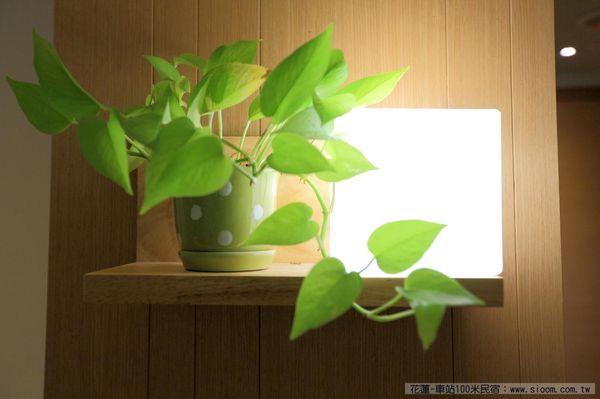 車站100M民宿丨電梯附停車場 Hualien Habitación foto
